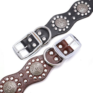 Poodle Leather Stud Collar Set - Poodles World